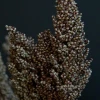 Abigail Ahern Sorghum Faux Stem 1 Abigail Ahern Sorghum Faux Stem