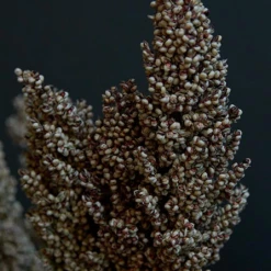 Abigail Ahern Sorghum Faux Stem