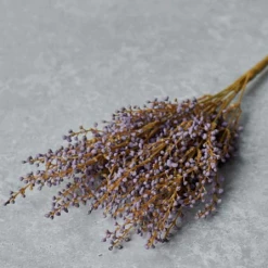 Abigail Ahern Heather Faux Stem