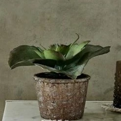 Abigail Ahern Faux Echeveria Crinoline Plant