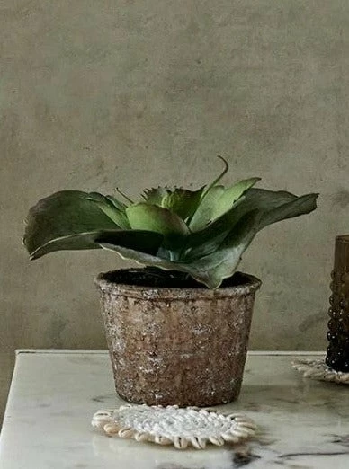 Abigail Ahern Faux Echeveria Crinoline Plant 4 Abigail Ahern Faux Echeveria Crinoline Plant