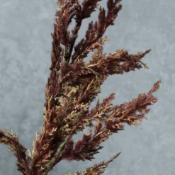 Abigail Ahern Berry Red Astilbe Faux Stem