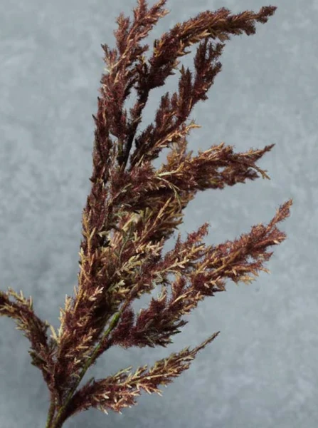 Abigail Ahern Berry Red Astilbe Faux Stem 3 Abigail Ahern Berry Red Astilbe Faux Stem