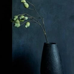 Abigail Ahern Eucalyptus Gum Nut