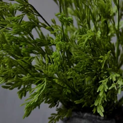 Abigail Ahern Juniper Leaf Faux Stem