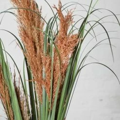 Abigail Ahern Pink Pampas Faux Stem