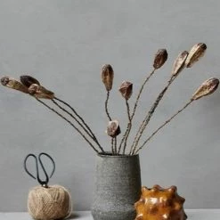 Abigail Ahern Mahogany Pod Bunch