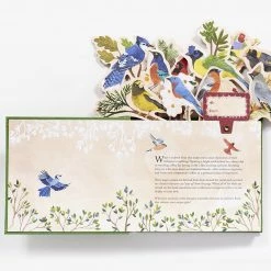 Chronicle Books Birds In A Book Pop Up Book Lesley Earle Rachel Grant
