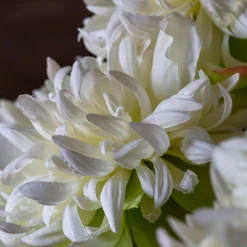 Abigail Ahern Peony Cream Faux Stem