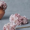 Abigail Ahern Blush Hydrangea Faux Stem