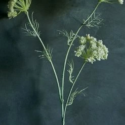 Abigail Ahern Hemlock