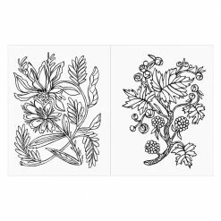 Chronicle Books Patch NYC Coloring Book