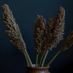 Abigail Ahern Sorghum Faux Stem