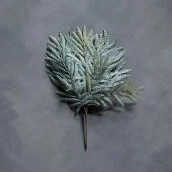 Abigail Ahern Mimosa Grass