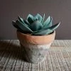 Abigail Ahern Olhao Faux Succulent