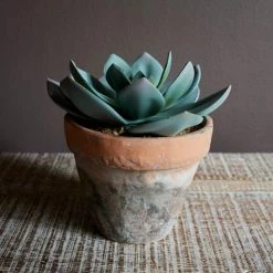 Abigail Ahern Olhao Faux Succulent