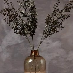 Abigail Ahern Eucalyptus Russet Faux Stem