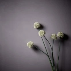 Abigail Ahern White Faux Allium