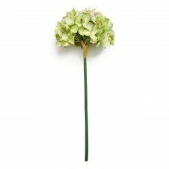 Abigail Ahern Hydrangea Moss Green Faux Stem