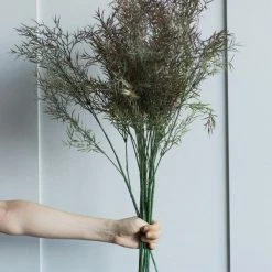 Abigail Ahern Honey Myrtle Stem