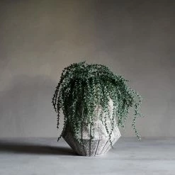 Abigail Ahern Medium Pablo Vase