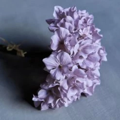 Abigail Ahern Hydrangea Mallow