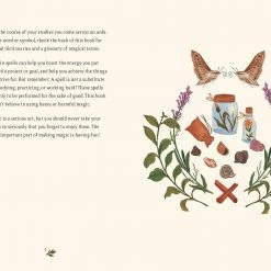 Chronicle Books The Little Witch's Book Of Spells