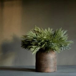 Abigail Ahern Mimosa Grass