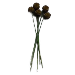 Abigail Ahern Purple Faux Allium