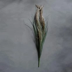 Abigail Ahern Pampas Grass Faux Stem