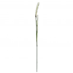 Abigail Ahern Wolftail Faux Stem