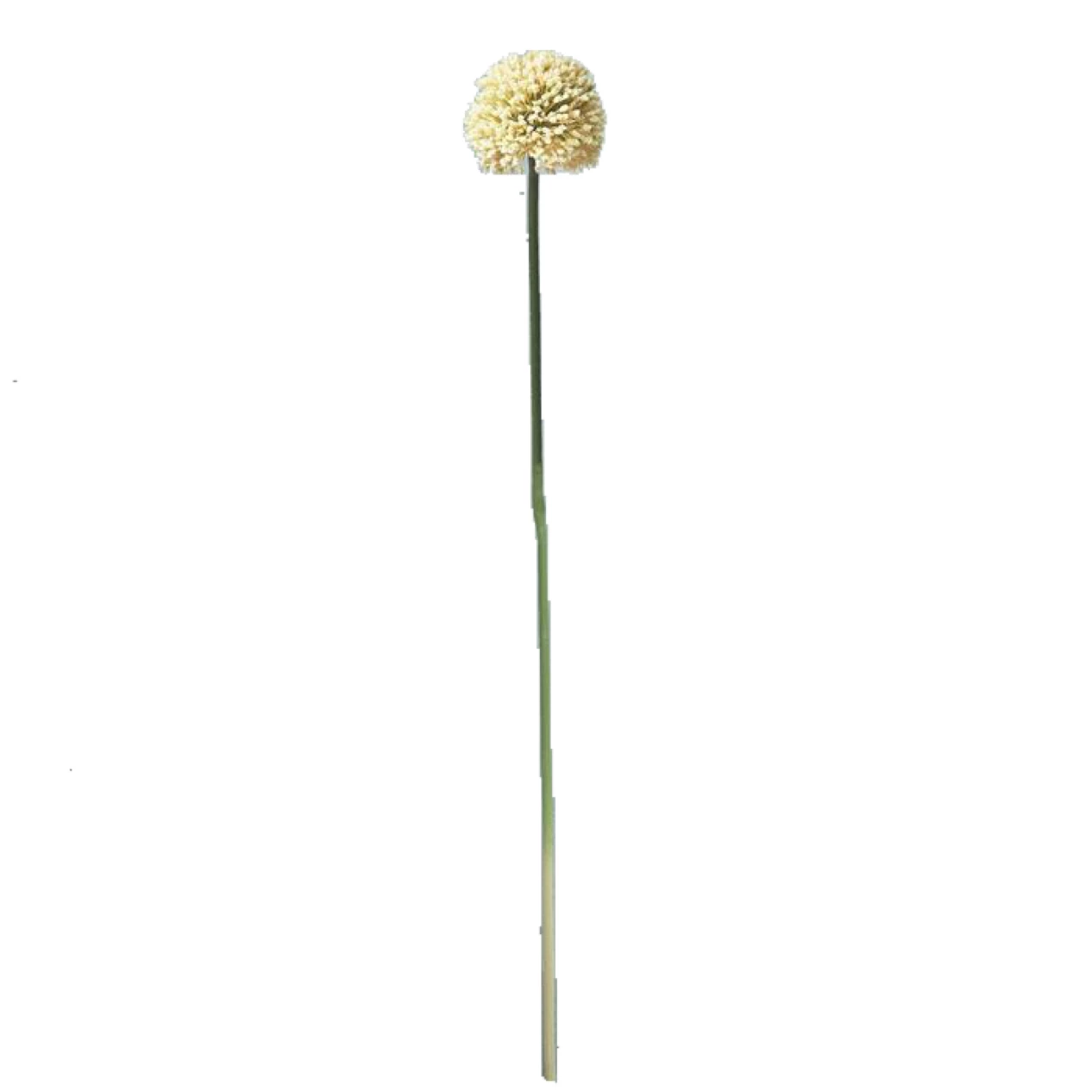Abigail Ahern White Faux Allium 4 Abigail Ahern White Faux Allium
