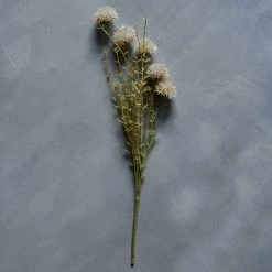 Abigail Ahern Melaleuca Cream