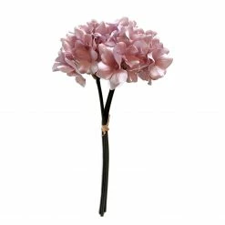 Abigail Ahern Hydrangea Mallow