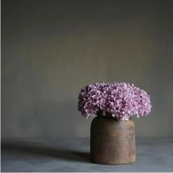 Abigail Ahern Hydrangea Mallow