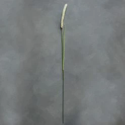 Abigail Ahern Wolftail Faux Stem