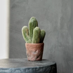 Abigail Ahern Faux Cephalocer Cactus