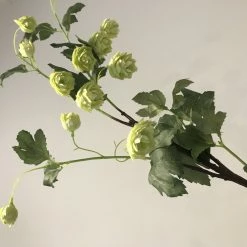 Abigail Ahern Faux Hop -Lime Green