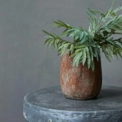 Abigail Ahern Mimosa Grass Faux Stem