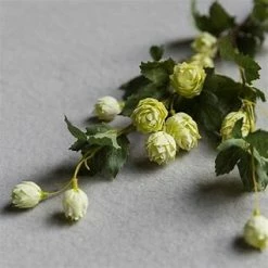 Abigail Ahern Faux Hop -Lime Green