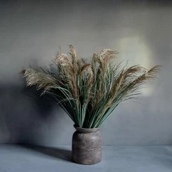 Abigail Ahern Pampas Grass Faux Stem