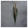 Abigail Ahern Pampas Grass Faux Stem