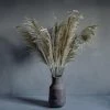 Abigail Ahern Single Pampas Faux Stem