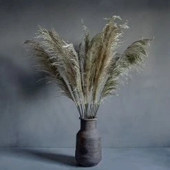 Abigail Ahern Single Pampas Faux Stem