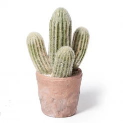 Abigail Ahern Faux Cephalocer Cactus