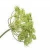 Abigail Ahern Faux Wild Fennel 2 Abigail Ahern Faux Wild Fennel