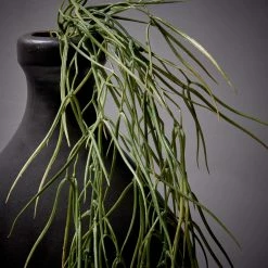 Abigail Ahern Giant Faux Horsetail Stem 7 Abigail Ahern Giant Faux Horsetail Stem