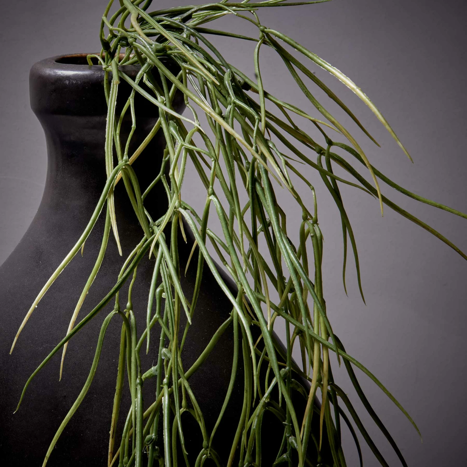 Abigail Ahern Giant Faux Horsetail Stem 5 Abigail Ahern Giant Faux Horsetail Stem