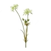 Abigail Ahern Cream Scabious Flower Stem