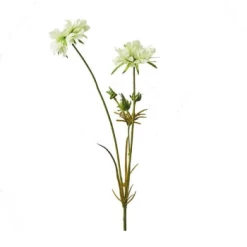 Abigail Ahern Cream Scabious Flower Stem